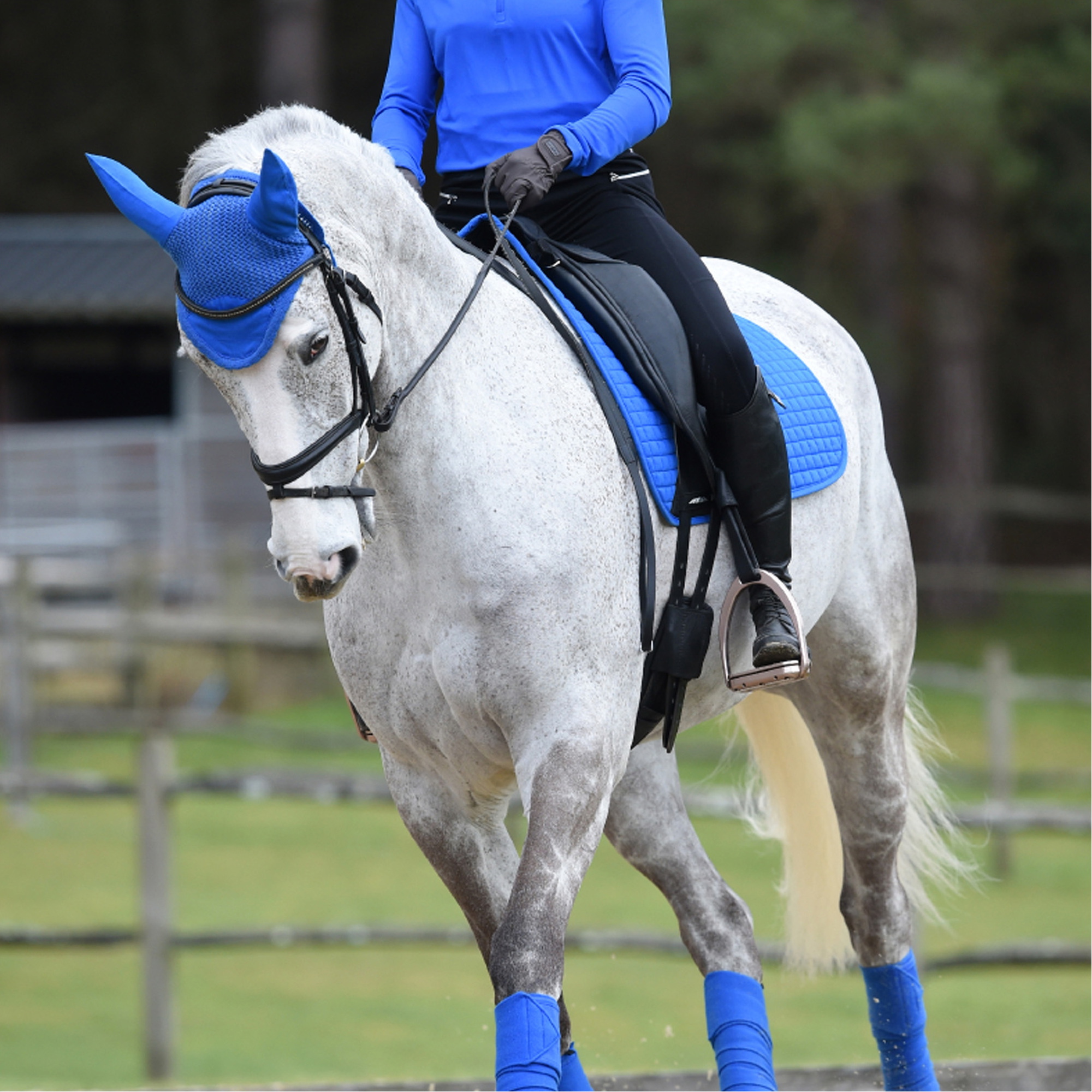 Weatherbeeta Prime Ear Bonnet 1000071 - Royal Blue